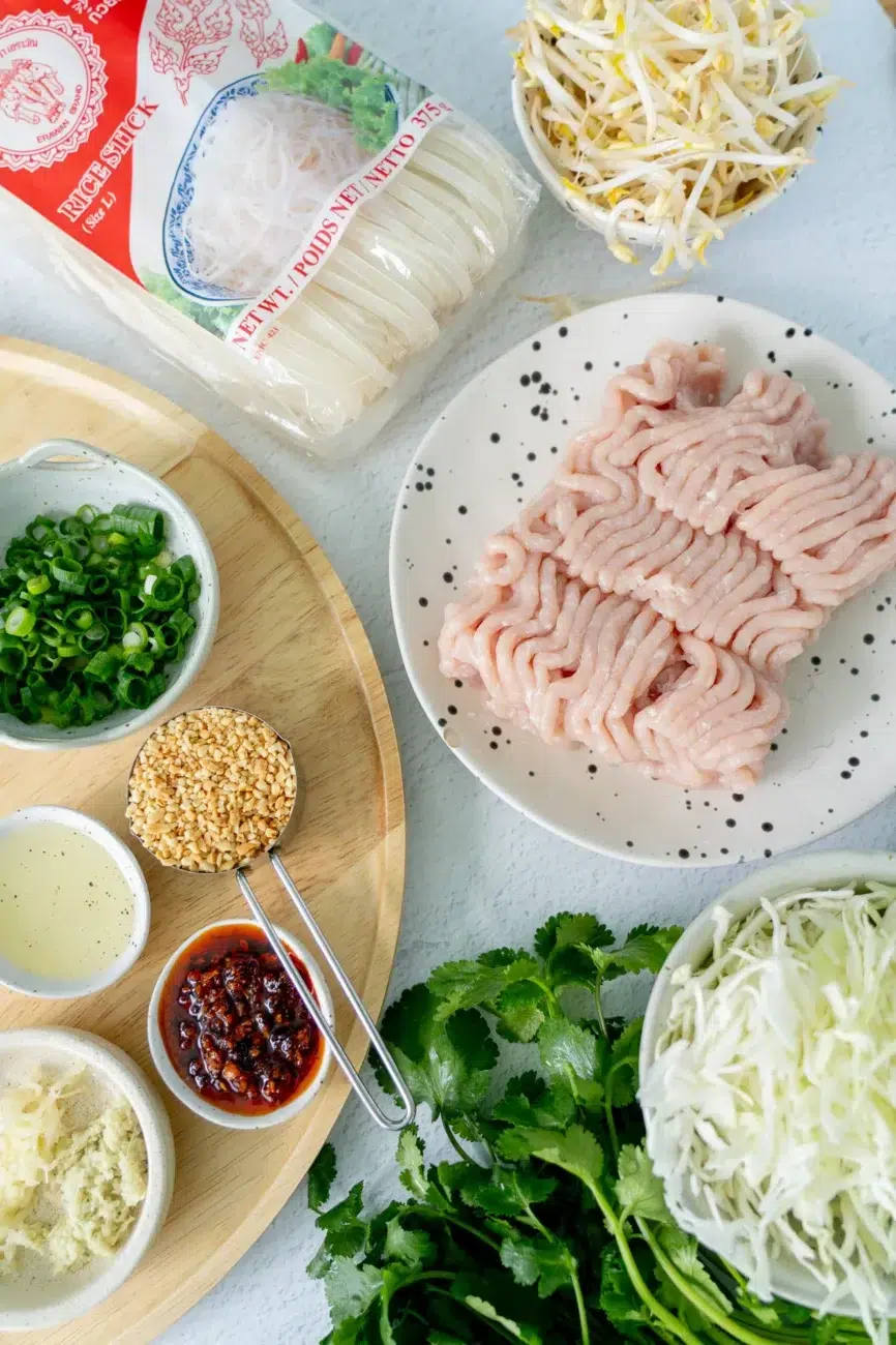 Creamy Coconut Peanut Noodles Recipe Ingredients